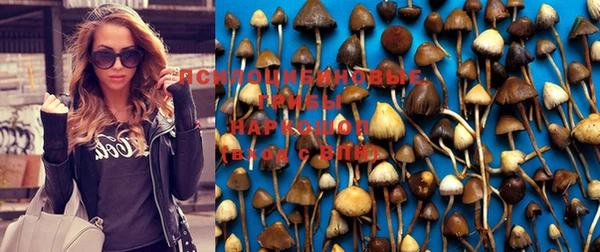 spice Елабуга