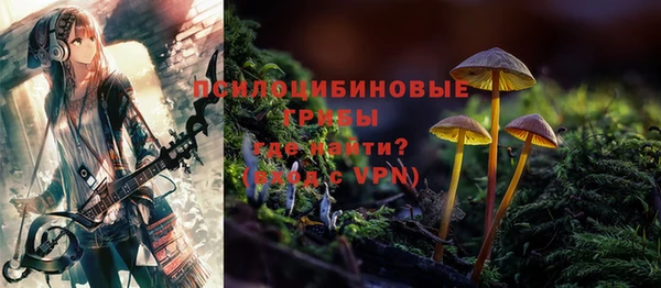 синтетический гашиш Ельня