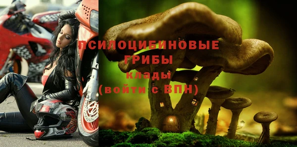синтетический гашиш Ельня