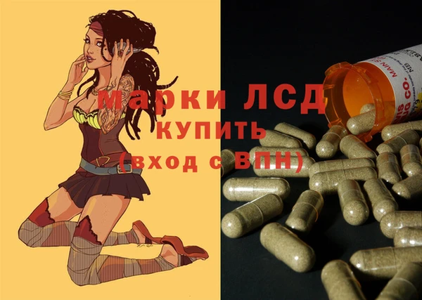 spice Елабуга