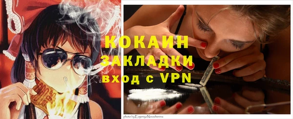 крисы Елизово