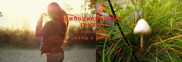 синтетический гашиш Ельня
