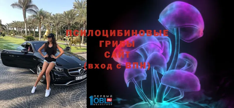 Псилоцибиновые грибы Psilocybe  ссылка на мегу ссылки  Калязин 